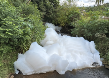 Espuma de até 2 metros toma conta de arroio após descarte irregular de efluente industrial no RS