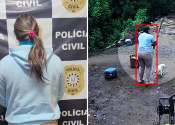 MP-RS denuncia casal pela morte do cão Branquinho com picareta e maus-tratos a outros animais em Porto Alegre