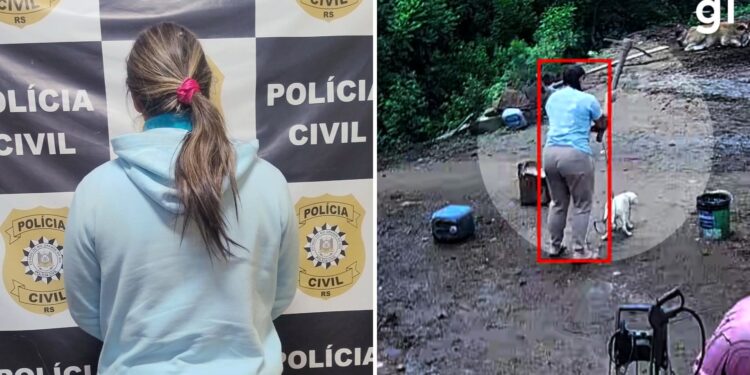 MP-RS denuncia casal pela morte do cão Branquinho com picareta e maus-tratos a outros animais em Porto Alegre